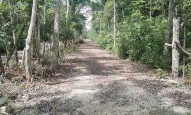 Terreno en venta en Muyil, Quitana Roo.