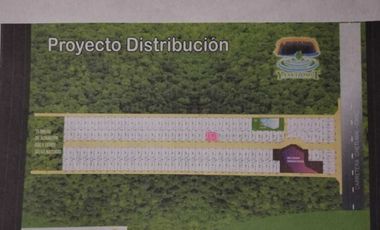 Terreno en venta en Muyil, Quitana Roo.