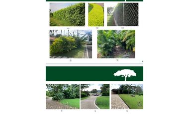 VENTA EXCLUSIVOS LOTES CAMPESTRES SEPTIMA ETAPA CERRITOS PEREIRA