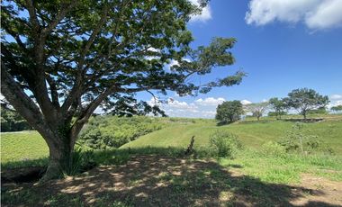 VENTA EXCLUSIVOS LOTES CAMPESTRES SEPTIMA ETAPA CERRITOS PEREIRA