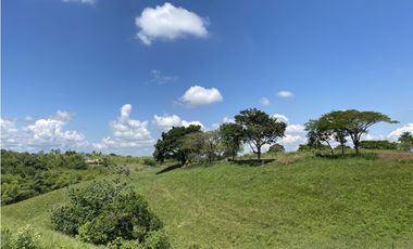 VENTA EXCLUSIVOS LOTES CAMPESTRES SEPTIMA ETAPA CERRITOS PEREIRA