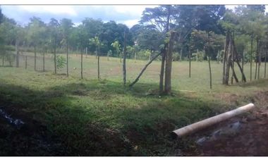 VENDOTERRENO EN CHORRERA LA MENDOZA 1.300MTS