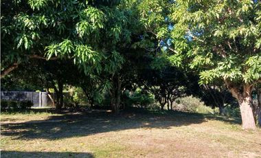 Eco Cabins and Farm on the way to Tayrona Park Santa Marta Colombia