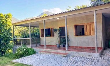 Eco Cabins and Farm on the way to Tayrona Park Santa Marta Colombia