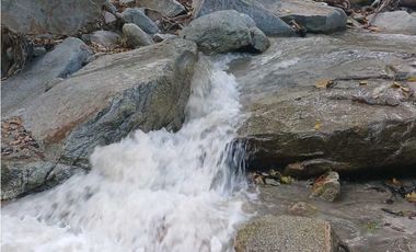 Eco Cabins and Farm on the way to Tayrona Park Santa Marta Colombia