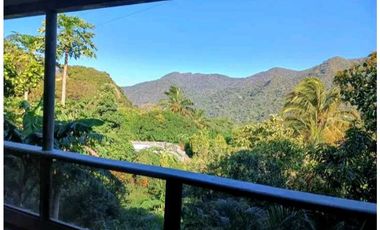 Eco Cabins and Farm on the way to Tayrona Park Santa Marta Colombia