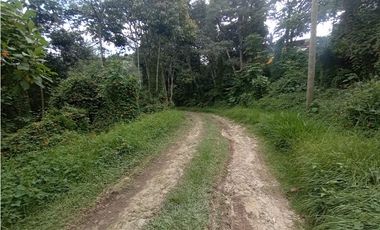 Casa en Arriendo Vereda Sajonia Rionegro