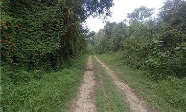 Casa en Arriendo Vereda Sajonia Rionegro