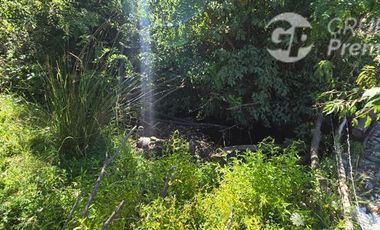 Agrícola en Venta en Los Junquillos