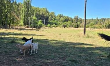 Agrícola en Venta en Los Junquillos
