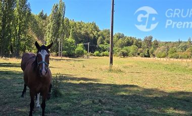 Agrícola en Venta en Los Junquillos