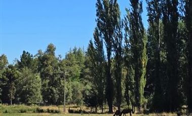 Parcela en Venta en Los Junquillos