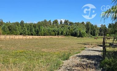 Parcela en Venta en Los Junquillos