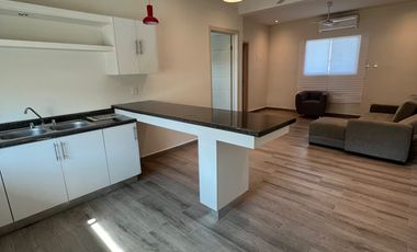 DEPARTAMENTO EN RENTA AMUEBLADO EN CENTRO DEGOLLADO