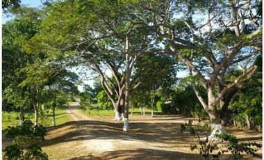 Venta Finca Bayunca Bolívar, Colombia