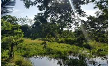Venta Finca Bayunca Bolívar, Colombia