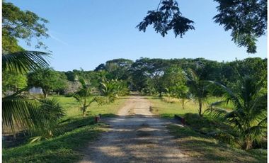 Venta Finca Bayunca Bolívar, Colombia
