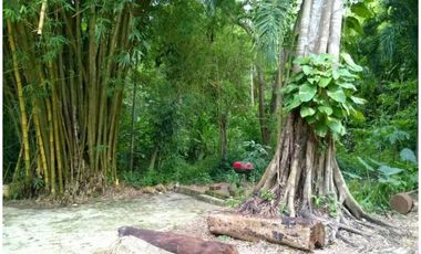 Venta Finca Turbaco, Bolívar, Colombia