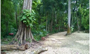 Venta Finca Turbaco, Bolívar, Colombia