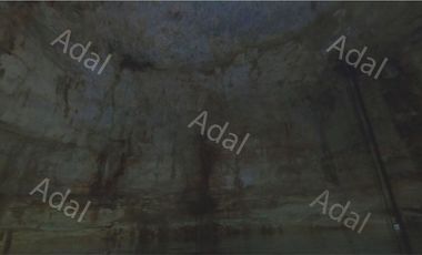 ¡Excelente terreno con Cenote en venta! Valladolid, Yucatán.