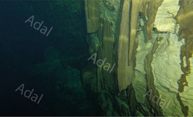 ¡Excelente terreno con Cenote en venta! Valladolid, Yucatán.