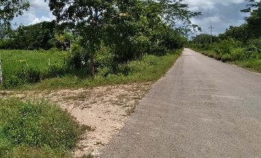 ¡Excelente terreno con Cenote en venta! Valladolid, Yucatán.