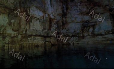 ¡Excelente terreno con Cenote en venta! Valladolid, Yucatán.