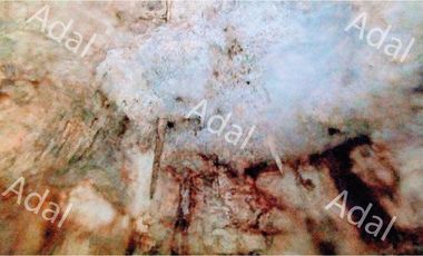 ¡Excelente terreno con Cenote en venta! Valladolid, Yucatán.