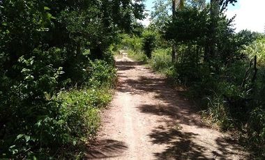 ¡Excelente terreno con Cenote en venta! Valladolid, Yucatán.