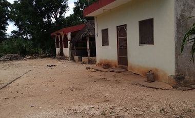 ¡Excelente terreno con Cenote en venta! Valladolid, Yucatán.