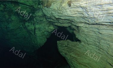 ¡Excelente terreno con Cenote en venta! Valladolid, Yucatán.