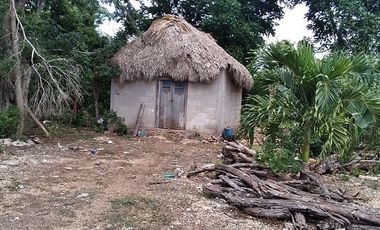 ¡Excelente terreno con Cenote en venta! Valladolid, Yucatán.