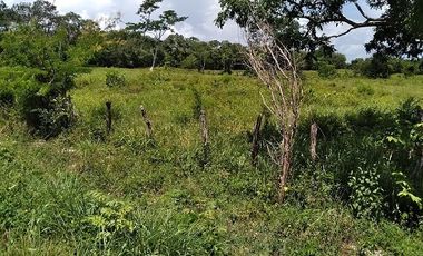 ¡Excelente terreno con Cenote en venta! Valladolid, Yucatán.