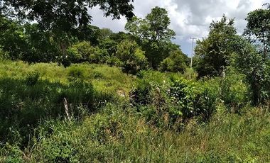 ¡Excelente terreno con Cenote en venta! Valladolid, Yucatán.