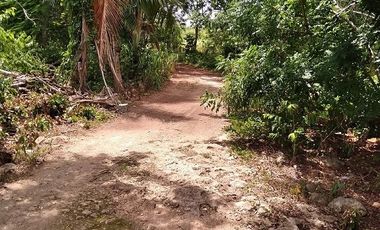 ¡Excelente terreno con Cenote en venta! Valladolid, Yucatán.