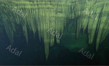 ¡Excelente terreno con Cenote en venta! Valladolid, Yucatán.