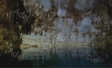 ¡Excelente terreno con Cenote en venta! Valladolid, Yucatán.