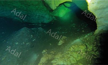 ¡Excelente terreno con Cenote en venta! Valladolid, Yucatán.