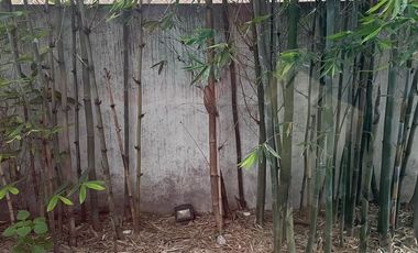 Renta casa para oficinas. Santa Cruz Buenavista. Camino Real y Blvd Atlixco