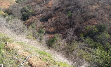 23 Hectáreas en la Tranquila Quebrada Escobares