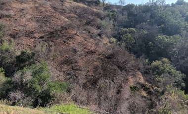 23 Hectáreas en la Tranquila Quebrada Escobares