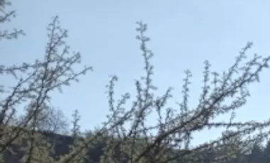 23 Hectáreas en la Tranquila Quebrada Escobares