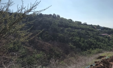 23 Hectáreas en la Tranquila Quebrada Escobares