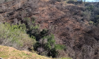 23 Hectáreas en la Tranquila Quebrada Escobares