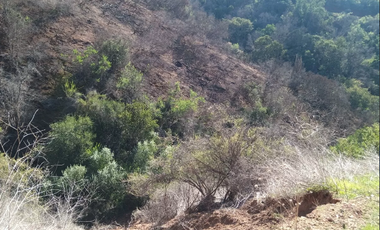 23 Hectáreas en la Tranquila Quebrada Escobares