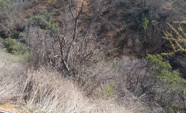 23 Hectáreas en la Tranquila Quebrada Escobares