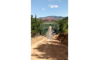 Tu Refugio Soñado Entre Pinos en Chépica