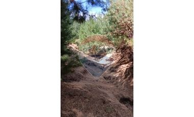Tu Refugio Soñado Entre Pinos en Chépica