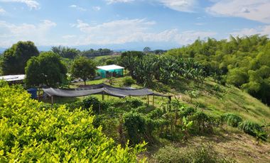 FINCA EN VENTA EN QUIMBAYA QUINDIO