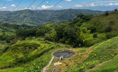 FINCA EN VENTA EN ALCALÁ QUIMBAYA QUINDIO